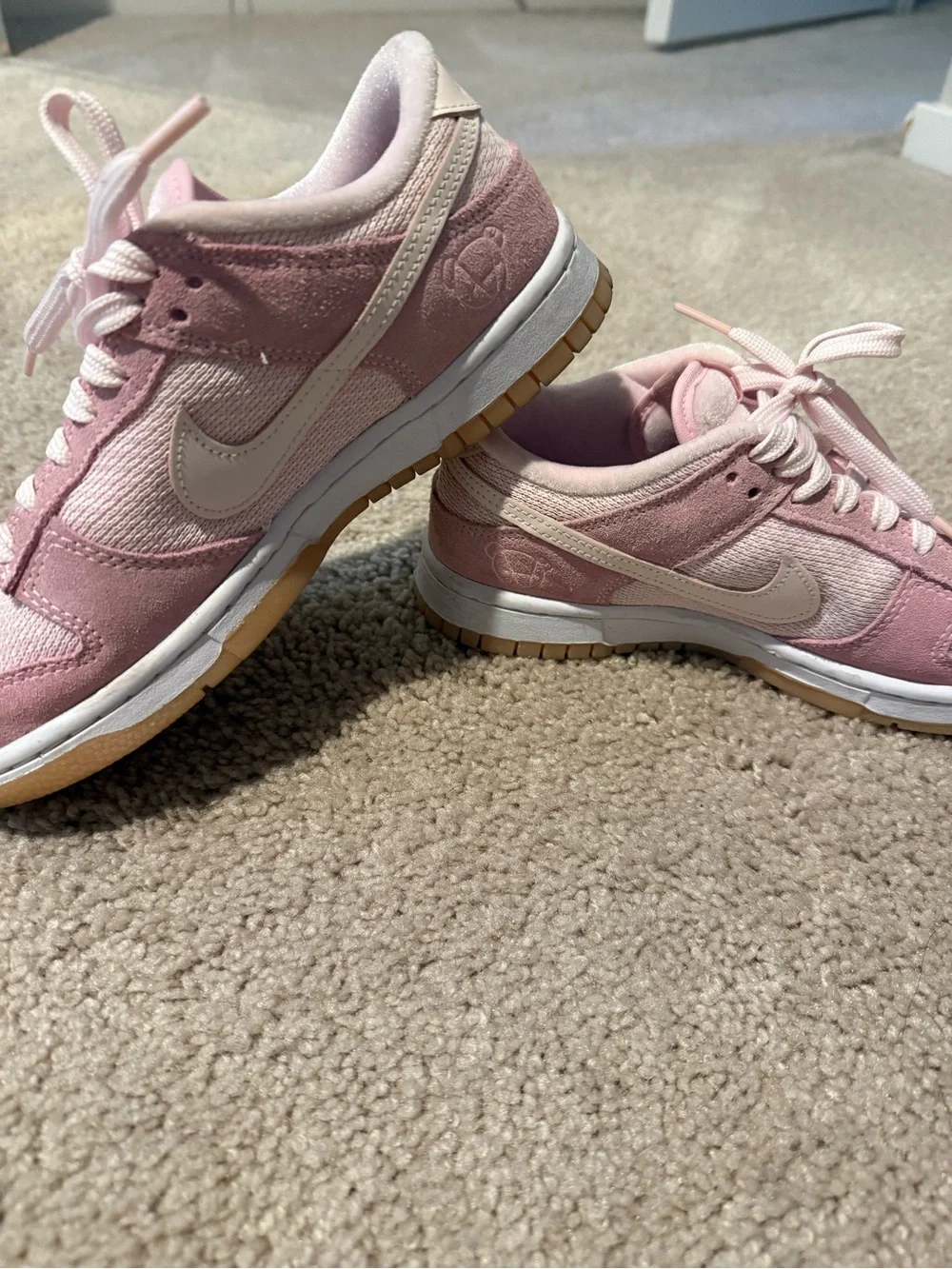 Teddy Bear Pink Nike Women’s Dunks